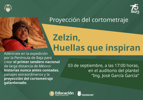 proyeccion